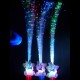 Fouet Lumineux Fibre Leds
