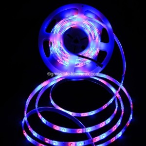 Rubans LED