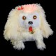 Peluche lumineuse animée