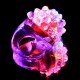 Bague lumineuse au carton X1200 Pièces